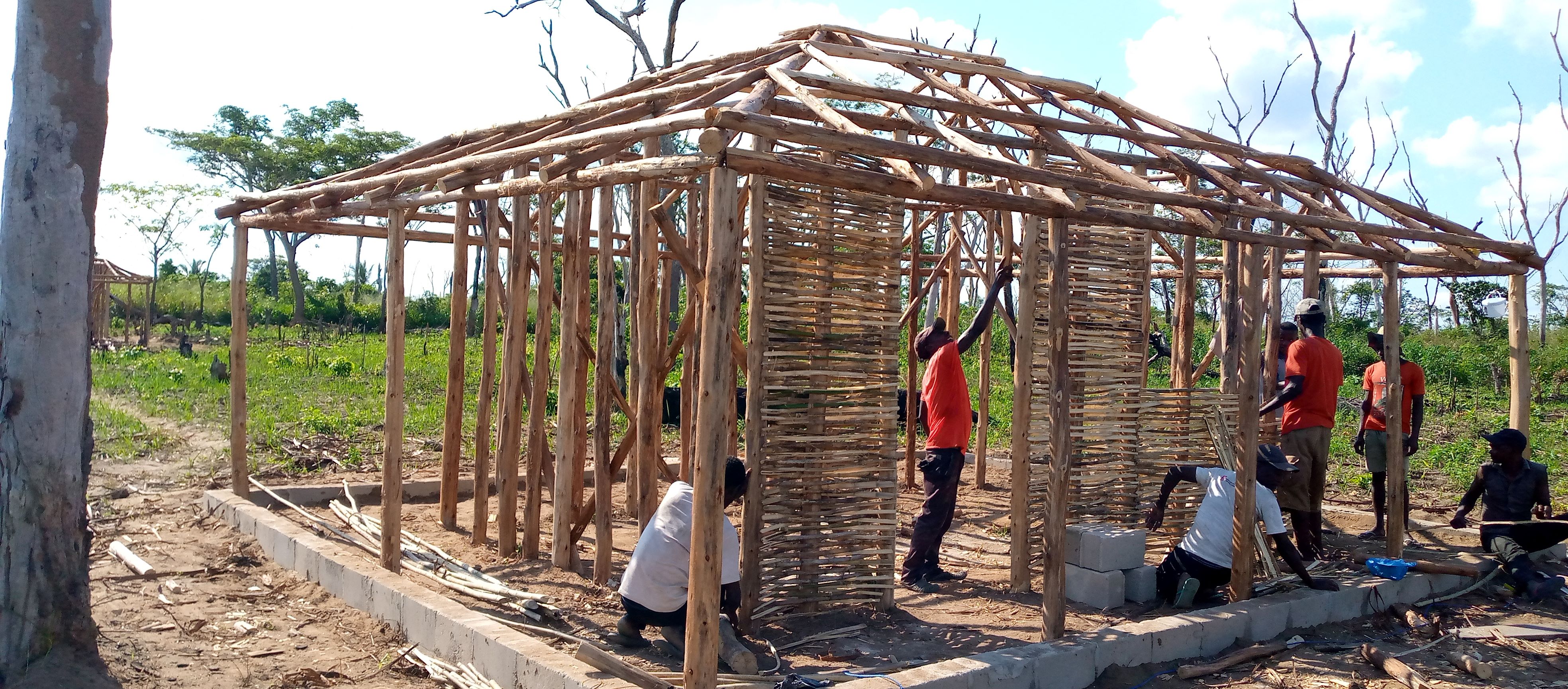 Assistência Humanitária